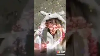 Барвина в лайк