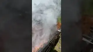 #рецепты #шашлык