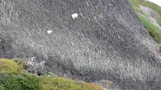 Nanny and kid traverse cliff