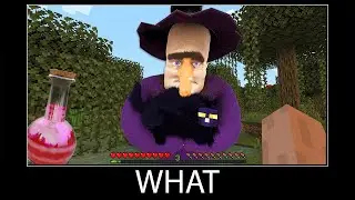 Minecraft wait what meme part 171 realistic minecraft Witch