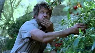 DIRECTV   Dont Chase Imaginary Butterflies Commercial