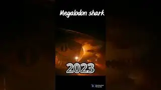 💥Evolution of Megalodon Shark