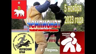 БРР 5 ноября 2023