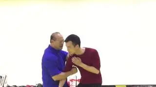 香港詠春拳 陳釗詠春国际教練黐手教学