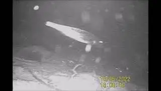 Подводная съёмка
