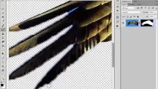 Photoshop Compositing