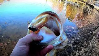 ‪@6thsensefishing‬