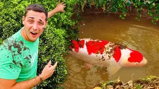 I Found Monster Fish in an Abandoned Mud Pond…