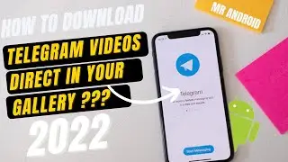 How to download and save Telegram photos and videos in your phone gallery? 