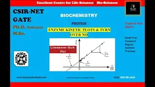 Enzyme Kinetics: Various plots & Parameters for easy Calculation  (BC/44)