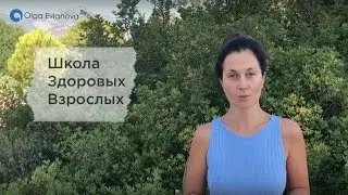 Школа Здоровых Взрослых Ольга Евланова