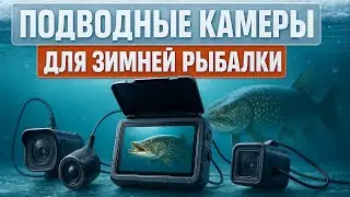🔥The best underwater cameras for winter fishing in 2025🎣TOP 5 models with recording and backlight...