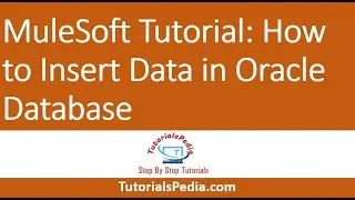 MuleSoft Database Insert Tutorial | Insert Data in Oracle Database Using MuleSoft AnyPoint Studio