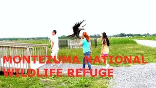 MONTEZUMA NATIONAL WILDLIFE REFUGE