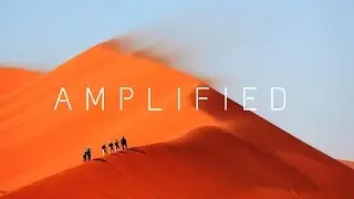 AMPLIFIED SURVIVAL - Progress?