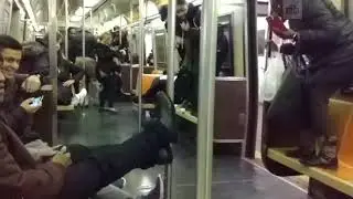 Rat in the subway of New York