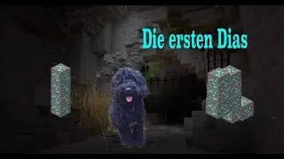 Mein Hund findet die ersten Dias - Mein Hund spielt Minecraft #2 - Minecraft LP Deutsch