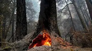 Living in a mega-fire era: Dry lightning could bring new threat as 14,000 firefighters battle more