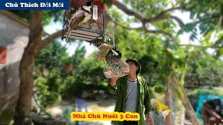 Going With My Brothers To People's Houses To See Red-whiskered Bulbuls And The One Who Kept Offering
