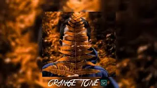 TUTORIAL CARA EDIT FOTO LIGHTROOM - ORANGE TONE