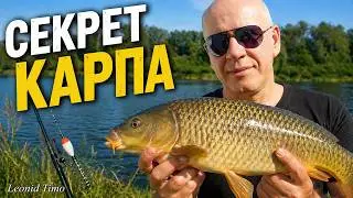 Как поймать КАРПА на ПЕНОПЛАСТ 🐟 Leonid Timo