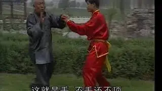 杨氏太极拳推手运动第四集