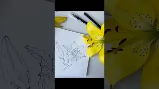 А вы любите быстрые скетчи без карандаша? #drawing #watercolor #sketch #art #творчество #скетч