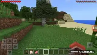 Mayciraft sonbolum