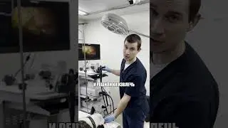 Возвращение бульдога Кокоса и инородки 