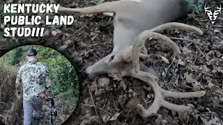 We killed a GIANT!| Kentucky PUBLIC land bow hunt!