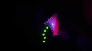 weeb fish