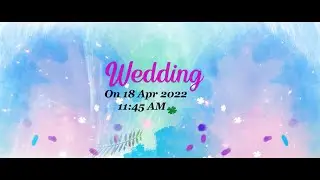 Adobe Premiere Pro Wedding Title project Download