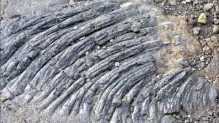 Hawai'i Volcanoes National Park