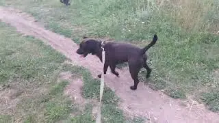 Филя и ноунейм
