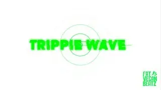 Trippie Redd X Juice Wrld | Fuji Dream | Trap Instrumental 2019