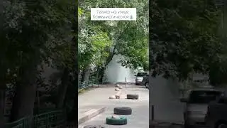 Гейзер на улице Коммунистической⛲