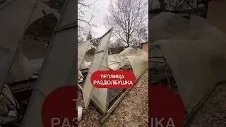 Снегом раздавило, у кого такое было?