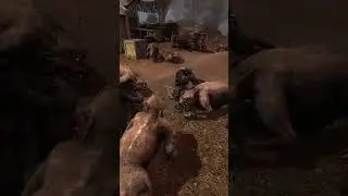 Стая Диких кабанов напала на базу Сталкеров! 