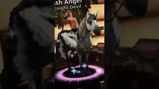 Montagem Edit|| Horse Riding Tales