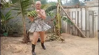 colhemos bananas no quintal da casa...