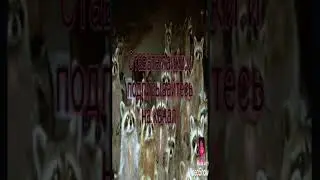 Nekto.me. Пошлая переписка