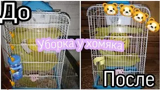 ГЕНЕРАЛЬНАЯ УБОРКА В КЛЕТКЕ У ХОМЯКА!! 