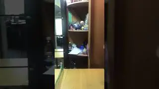 Настольный Т(п)енис