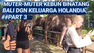 SERUU... SARAPAN DGN ORANG UTAN,, #zoo bali#orang utan
