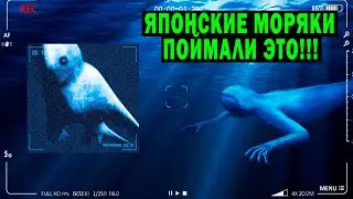 ЯПОНСКИЕ МОРЯКИ ПОЙМАЛИ ЭТО ВОЗЛЕ АНТАРКТИДЫ!!!