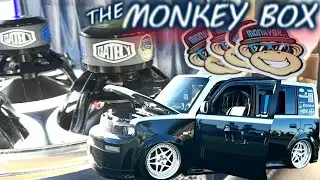 The 