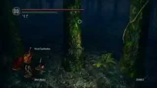 Dark Souls PvP: Black Death
