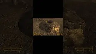 [Fallout: New Vegas] Sierra Madre Chips in the base game Location