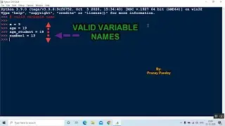 Python Valid Variable Names (#share)
