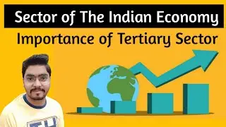 Class 10 Sector of Indian Economy ll Importance of Tertiary Sector ll nep Classes